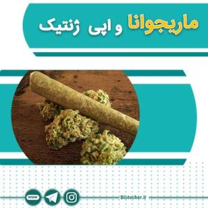 ماریجوانا و اپی ژنتیک